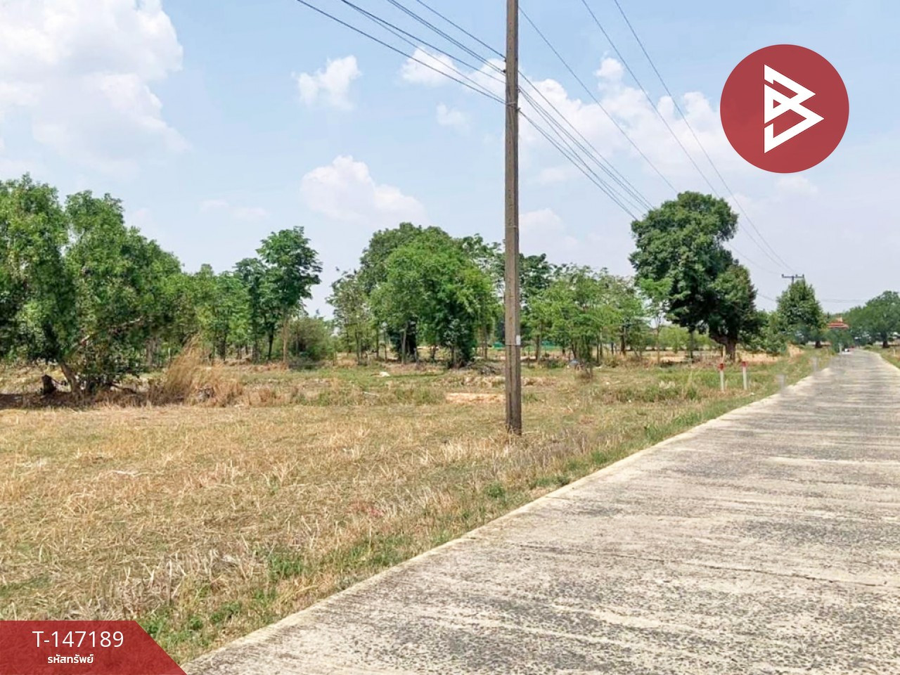 ขายที่ดิน เนื้อที่ 7 ไร่ 3 งาน 51 ตร.วา อุทุมพรพิสัย ศรีสะเกษ