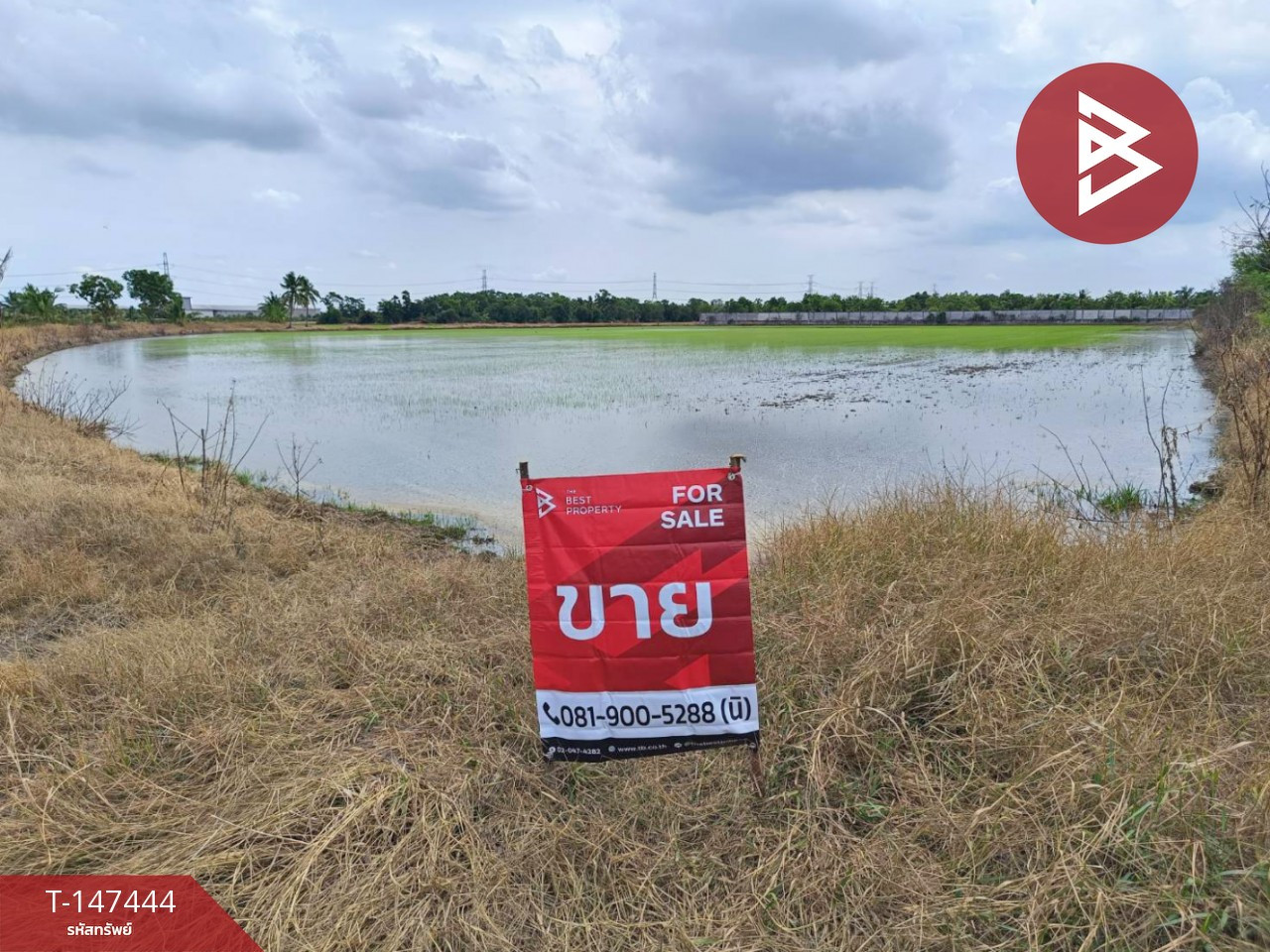 ขายที่ดิน เนื้อที่ 2 งาน 61 ตร.วา หนองจอก กรุงเทพมหานคร