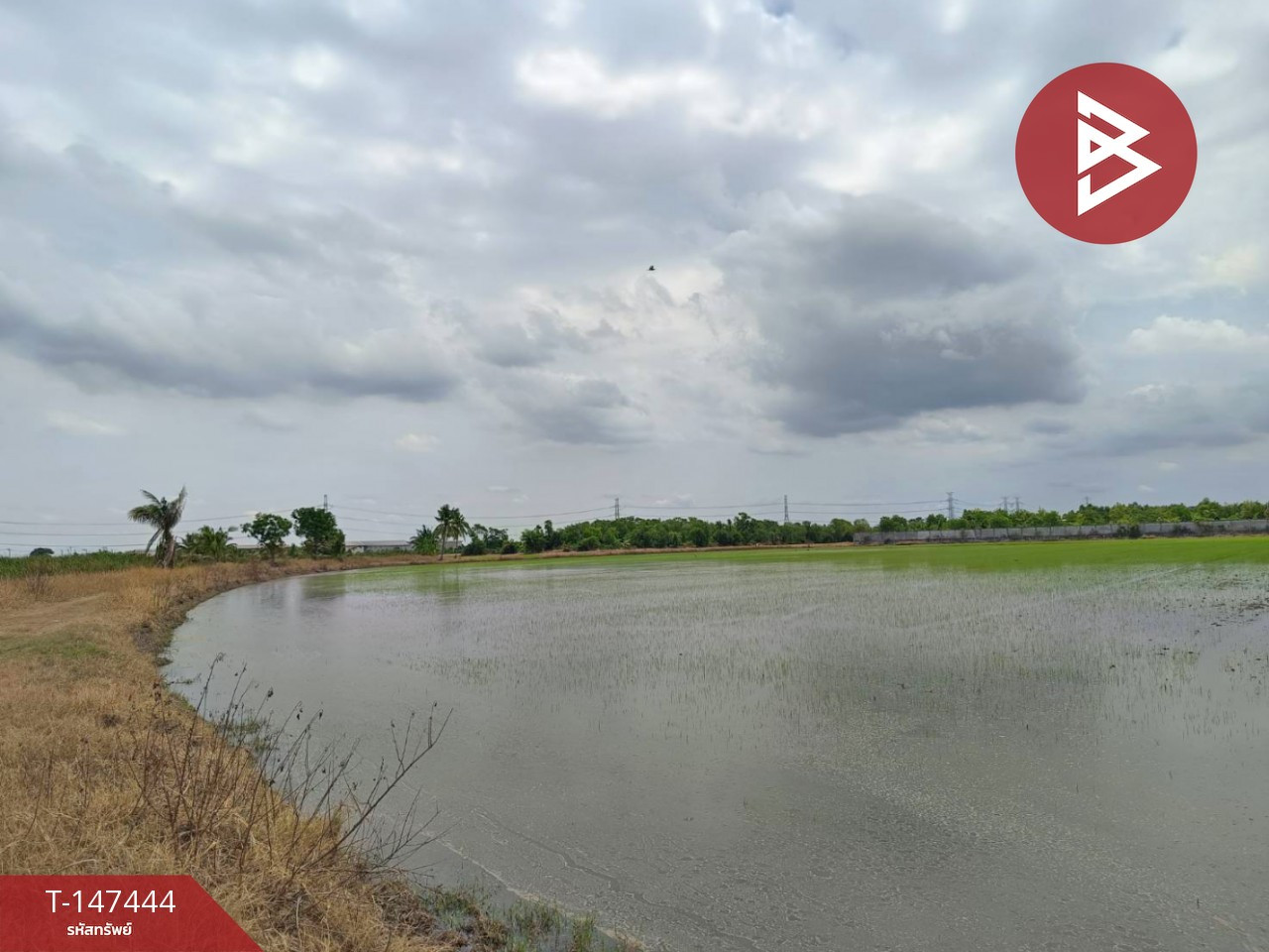 ขายที่ดิน เนื้อที่ 2 งาน 61 ตร.วา หนองจอก กรุงเทพมหานคร