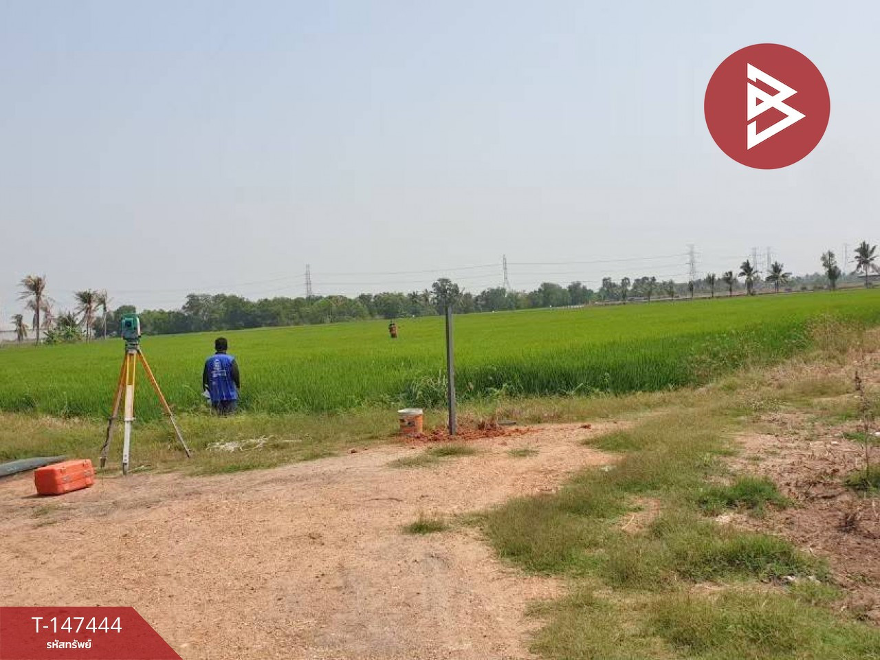 ขายที่ดิน เนื้อที่ 2 งาน 61 ตร.วา หนองจอก กรุงเทพมหานคร