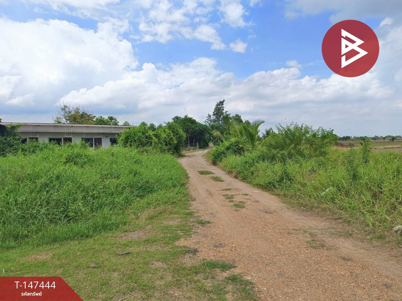 ขายที่ดิน เนื้อที่ 2 งาน 61 ตร.วา หนองจอก กรุงเทพมหานคร