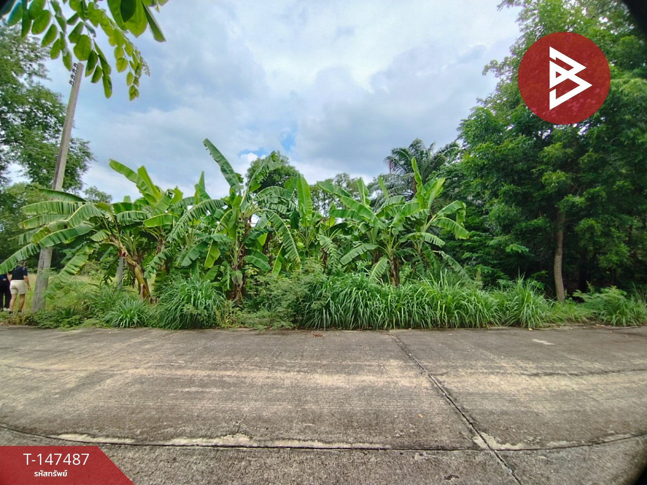 ขายที่ดิน เนื้อที่ 62.5 ตร.วา หนองเสือ ปทุมธานี