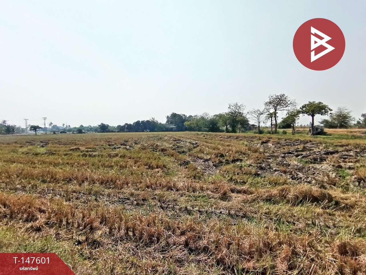 ขายที่ดิน เนื้อที่ 6 ไร่ 42 ตร.วา ท่ามะกา กาญจนบุรี