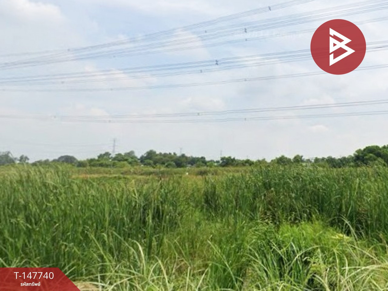 ขายที่ดิน เนื้อที่ 2 งาน ธัญบุรี ปทุมธานี