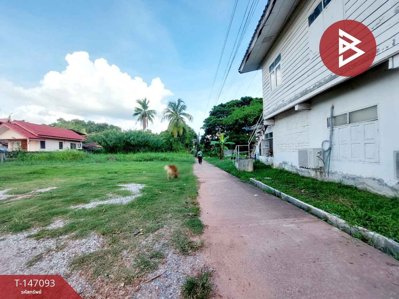 ขายบ้านเดี่ยว เนื้อที่ 43 ตร.วา จุมพล โพนพิสัย หนองคาย