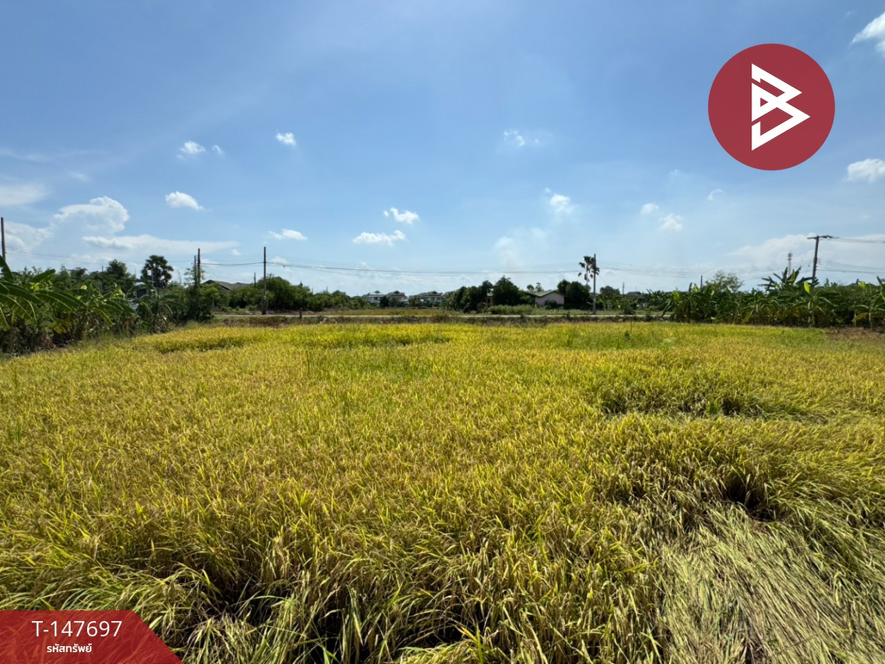 ขายที่ดินแปลงสวย เนื้อที่ 1 ไร่ บางบัวทอง นนทบุรี ทำเลดี ใกล้ถนนกาญจนาภิเษก