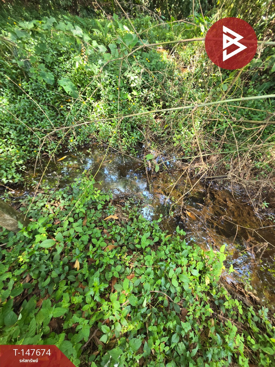 ขายที่ดิน เนื้อที่ 1 ไร่ ท่าช้าง จันทบุรี