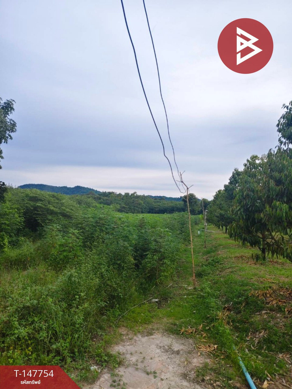 ขายที่ดิน เนื้อที่ 5 ไร่ 61.5 ตร.วา บ้านค่าย ระยอง
