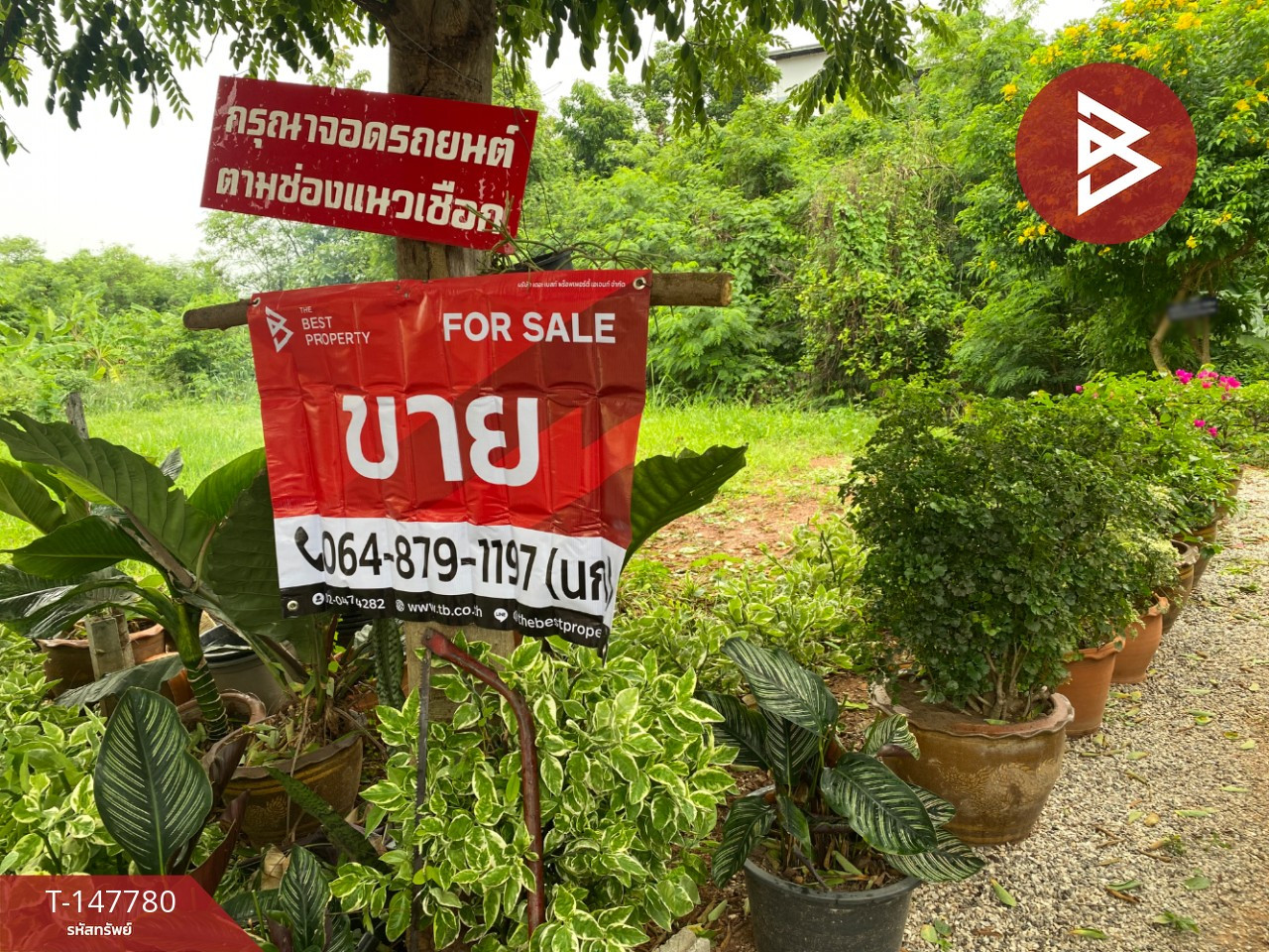 ขายที่ดินพร้อมสิ่งปลูกสร้าง เนื้อที่ 48.1 ตร.วา ศิลา ขอนแก่น