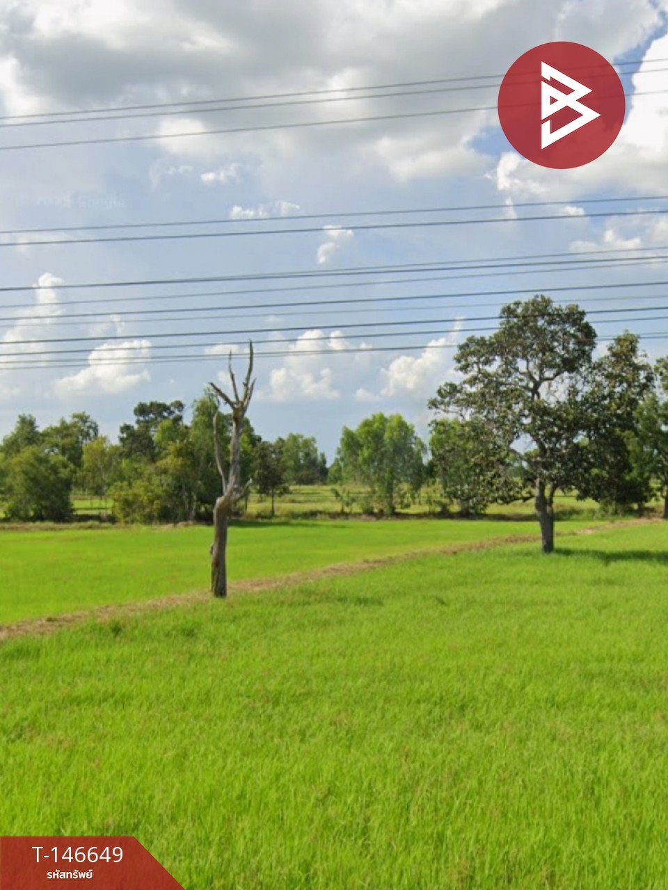 ขายที่ดิน เนื้อที่ 10 ไร่ พุทไธสง บุรีรัมย์ ทำเลีติดถนน