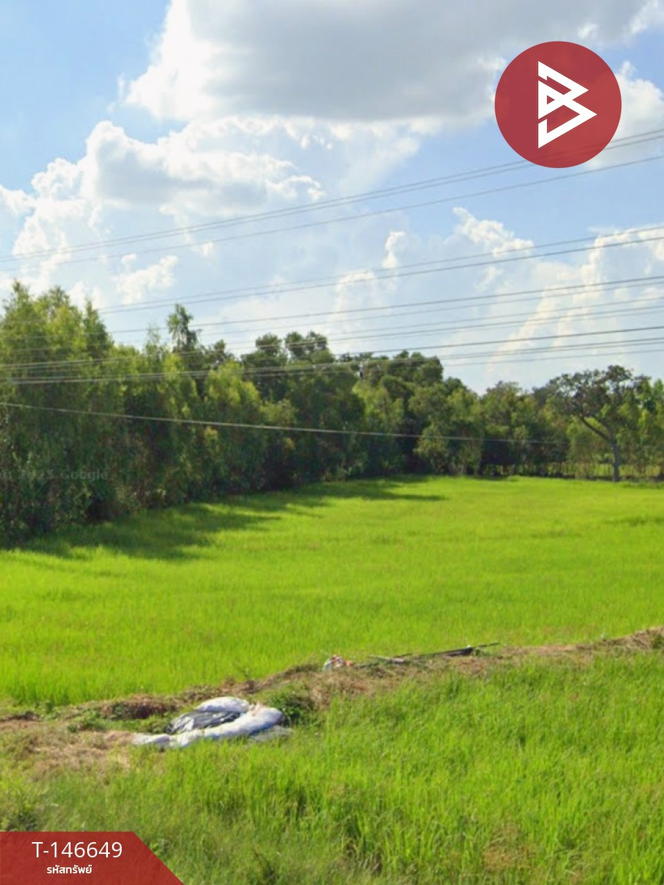 ขายที่ดิน เนื้อที่ 10 ไร่ พุทไธสง บุรีรัมย์ ทำเลีติดถนน