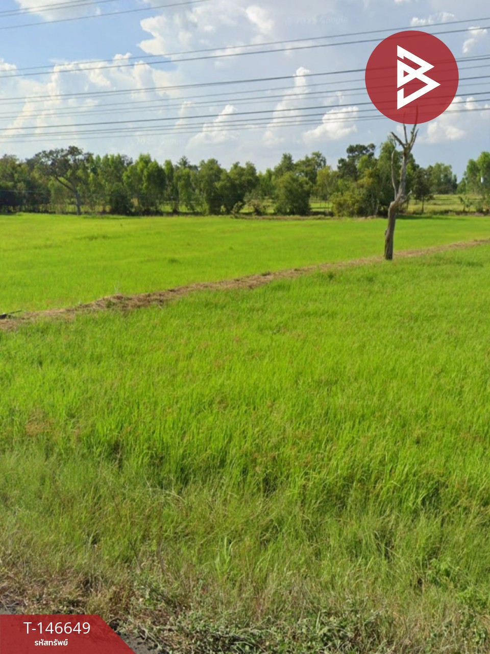 ขายที่ดิน เนื้อที่ 10 ไร่ พุทไธสง บุรีรัมย์ ทำเลีติดถนน
