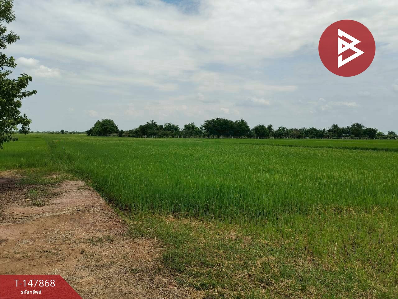 ขายที่ดินที่นา เนื้อที่ 5 ไร่ 1 งาน 6.1 ตร.วา ติดถนนหลัก 324 อู่ทอง-กาญจนบุรี
