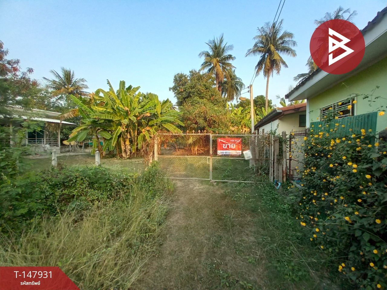 ขายที่ดิน เนื้อที่ 1 ไร่ 1 งาน โพธาราม ราชบุรี