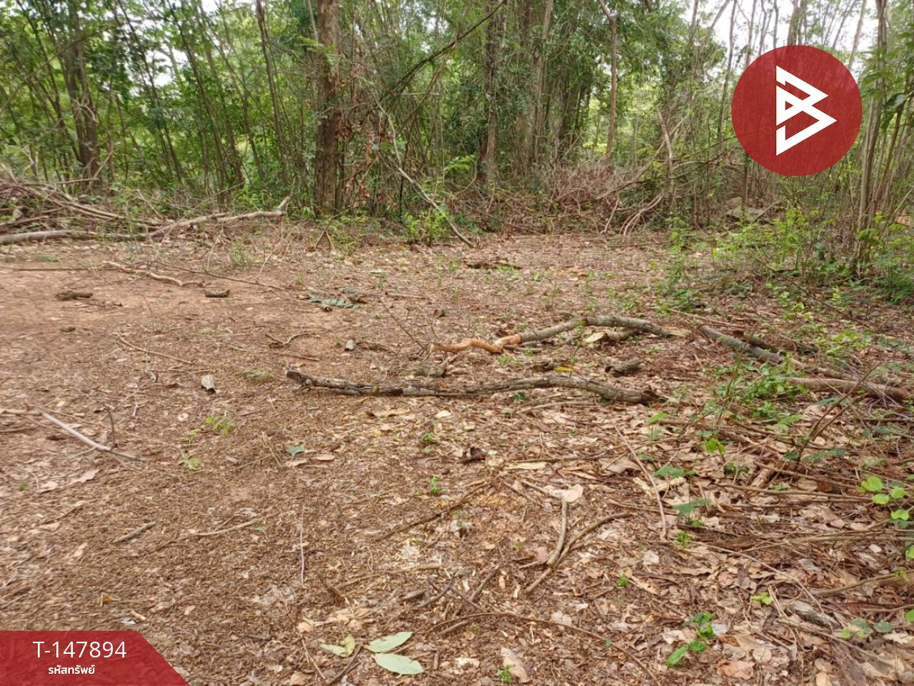 ขายที่ดิน เนื้อที่ 8 ไร่ ตะพานหิน พิจิตร