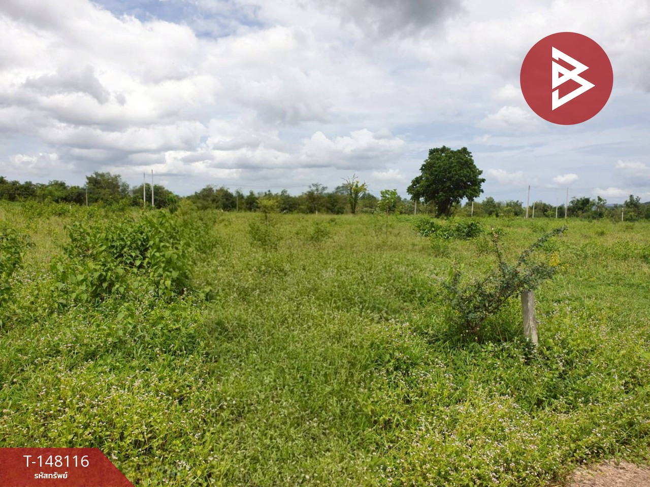 ขายที่ดิน เนื้อที่ 3 งาน แก่งกระจาน เพชรบุรี