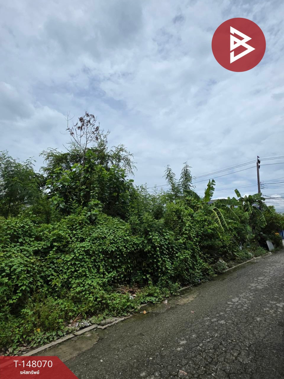 ขายที่ดิน เนื้อที่ 19.5 ตร.วา คลองสามวา กรุงเทพมหานคร