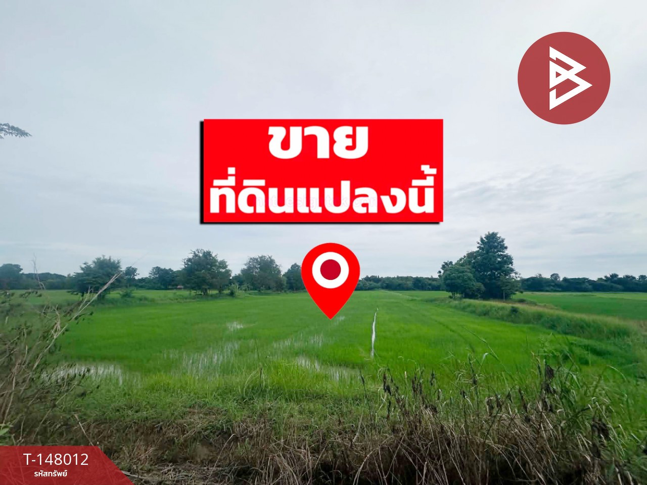 ขายด่วนที่ดิน เนื้อที่ 6 ไร่ 90 ตร.วา โคกสี ขอนแก่น