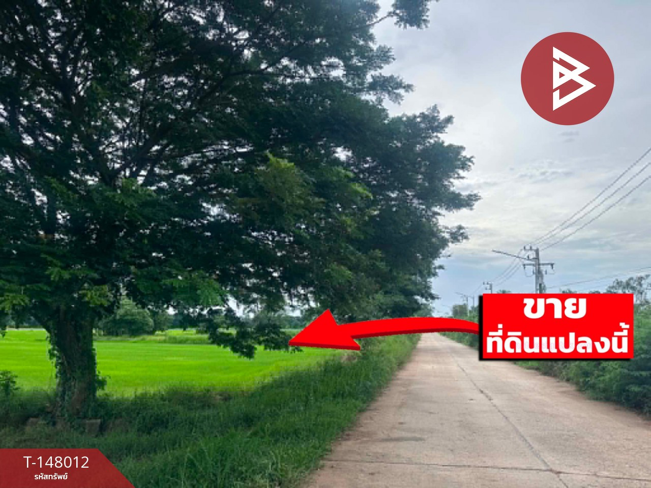 ขายด่วนที่ดิน เนื้อที่ 6 ไร่ 90 ตร.วา โคกสี ขอนแก่น