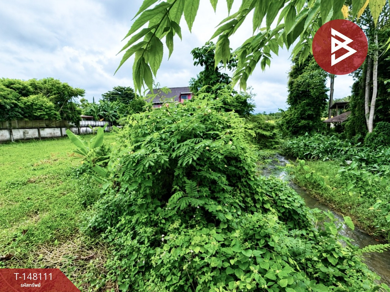 ขายที่ดิน เนื้อที่ 2 งาน 19 ตร.วา ท่าช้าง จันทบุรี