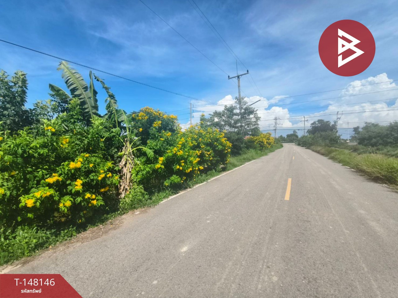ขายที่ดิน เนื้อที่ 67 ตร.วา บางคล้า ฉะเชิงเทรา