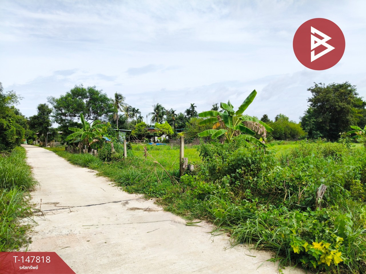 ขายที่ดิน เนื้อที่ 7 ไร่ ปราสาท สุรินทร์