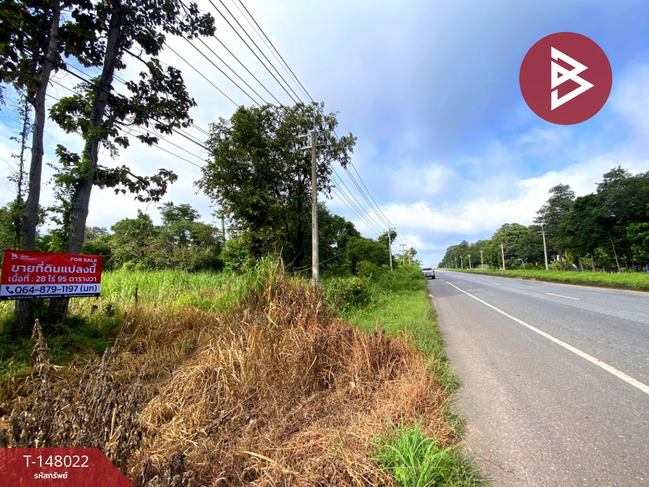 ขายที่ดินติดถนน เนื้อที่ 28 ไร่ 95 ตร.วา นาจารย์ กาฬสินธุ์