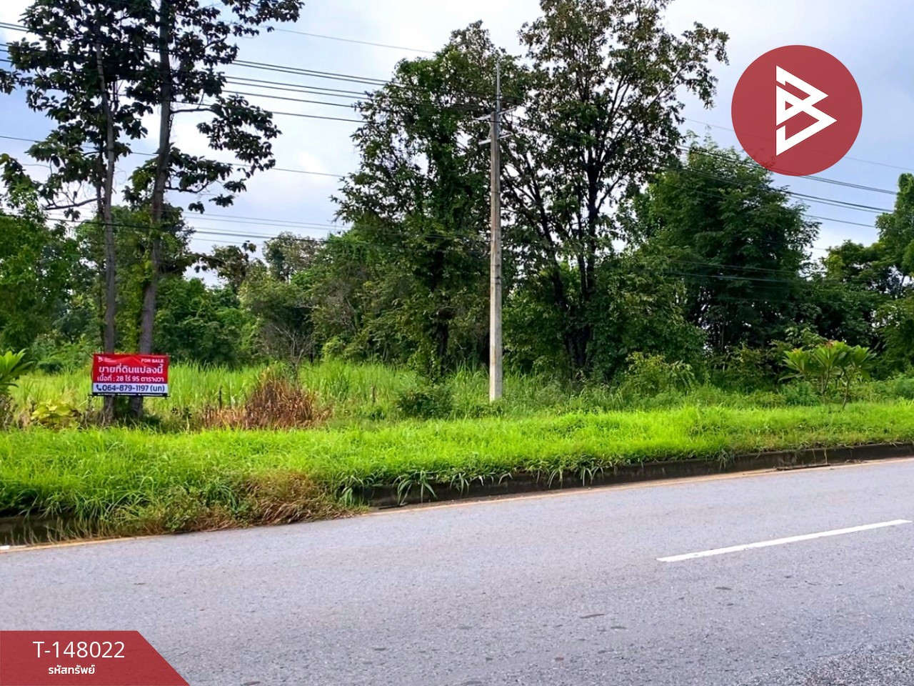 ขายที่ดินติดถนน เนื้อที่ 28 ไร่ 95 ตร.วา นาจารย์ กาฬสินธุ์