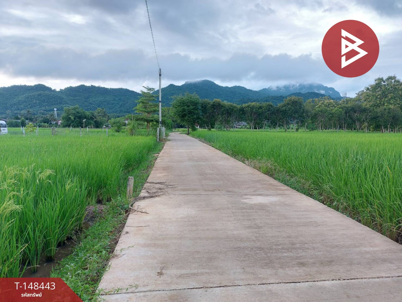 ขายที่ดิน เนื้อที่ 1 ไร่ แม่สาย เชียงราย
