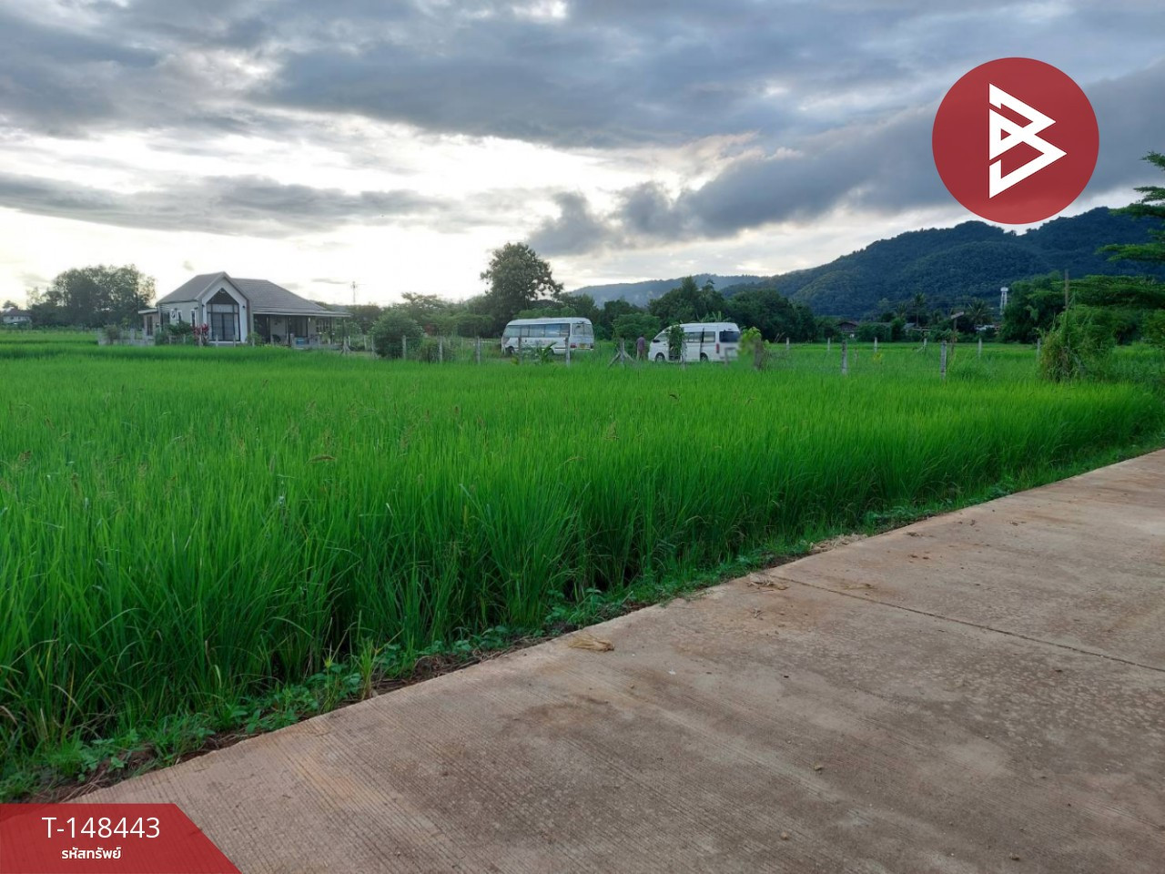 ขายที่ดิน เนื้อที่ 1 ไร่ แม่สาย เชียงราย