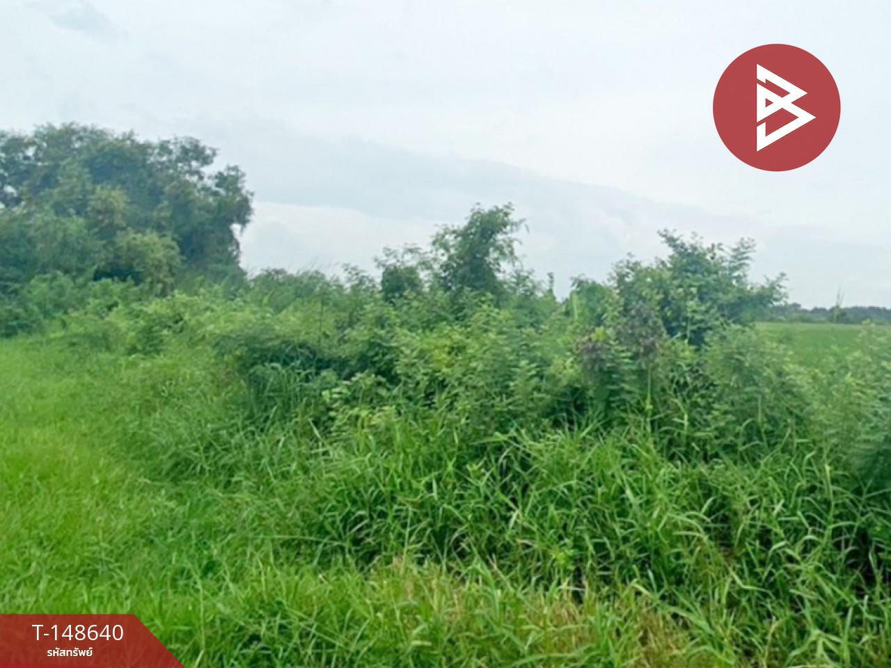 ขายที่ดิน เนื้อที่ 21 ไร่ 27 ตร.วา มีนบุรี กรุงเทพมหานคร