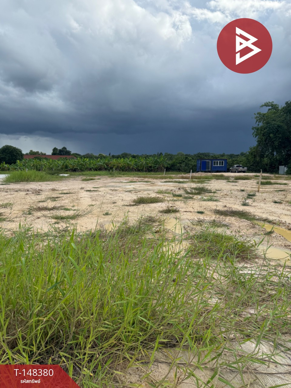 ขายที่ดิน เนื้อที่ 50.1 ตร.วา เหมืองง่า ลำพูน