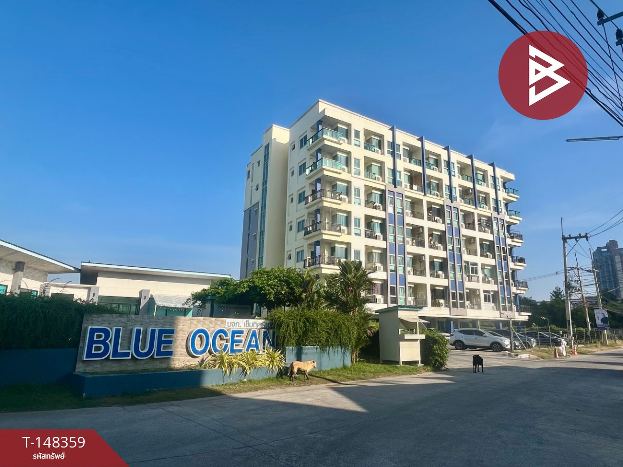 ขายคอนโดมิเนียม โครงการบลูโอเชี่ยน คอนโด (BlueOcean Condo) บางแสน ชลบุรี