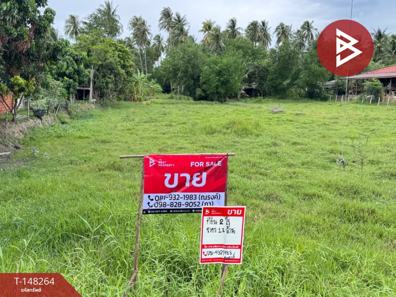 ขายที่ดิน เนื้อที่ 2 ไร่ ทับสะแก ประจวบคีรีขันธ์