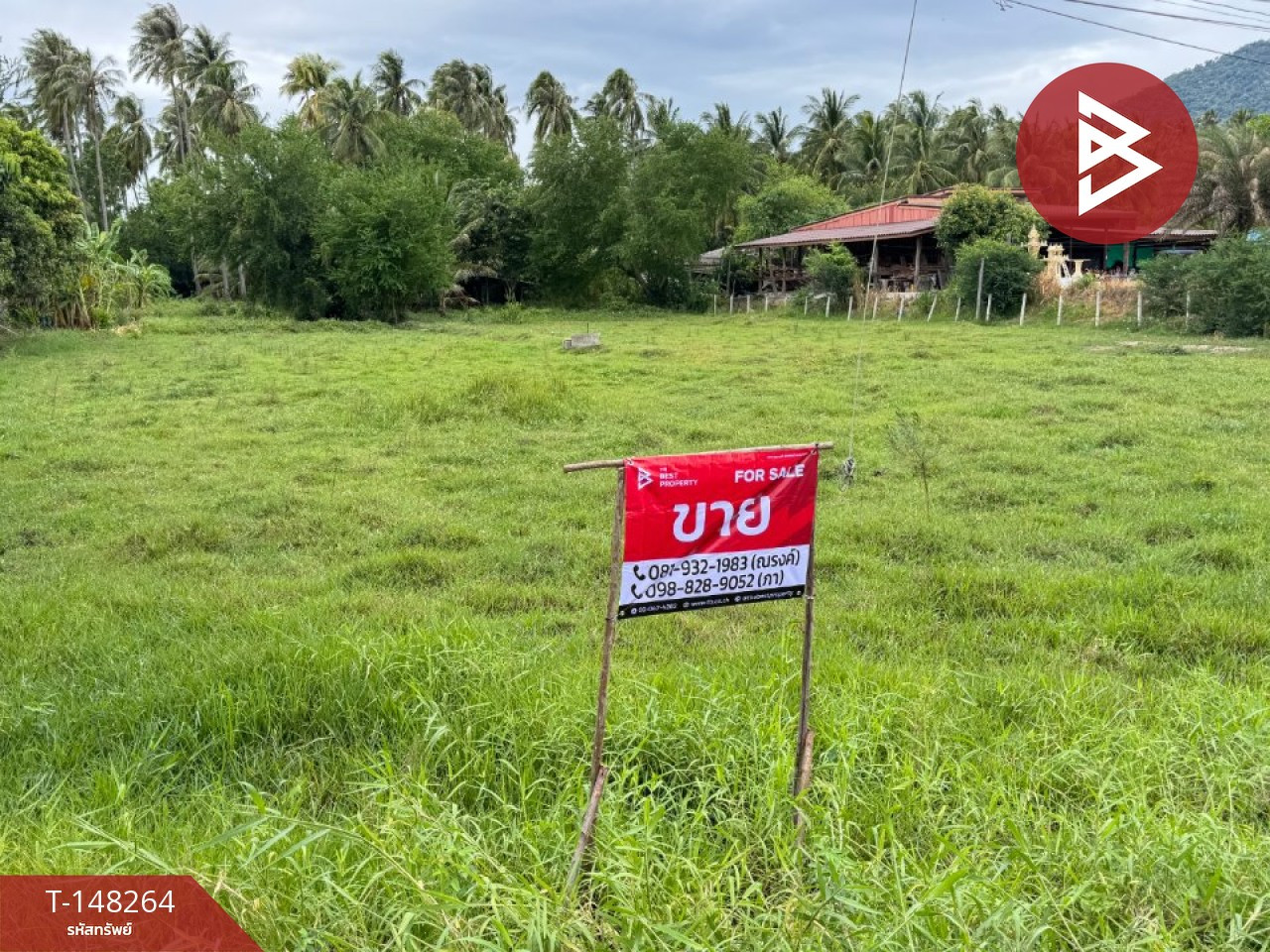 ขายที่ดิน เนื้อที่ 2 ไร่ ทับสะแก ประจวบคีรีขันธ์