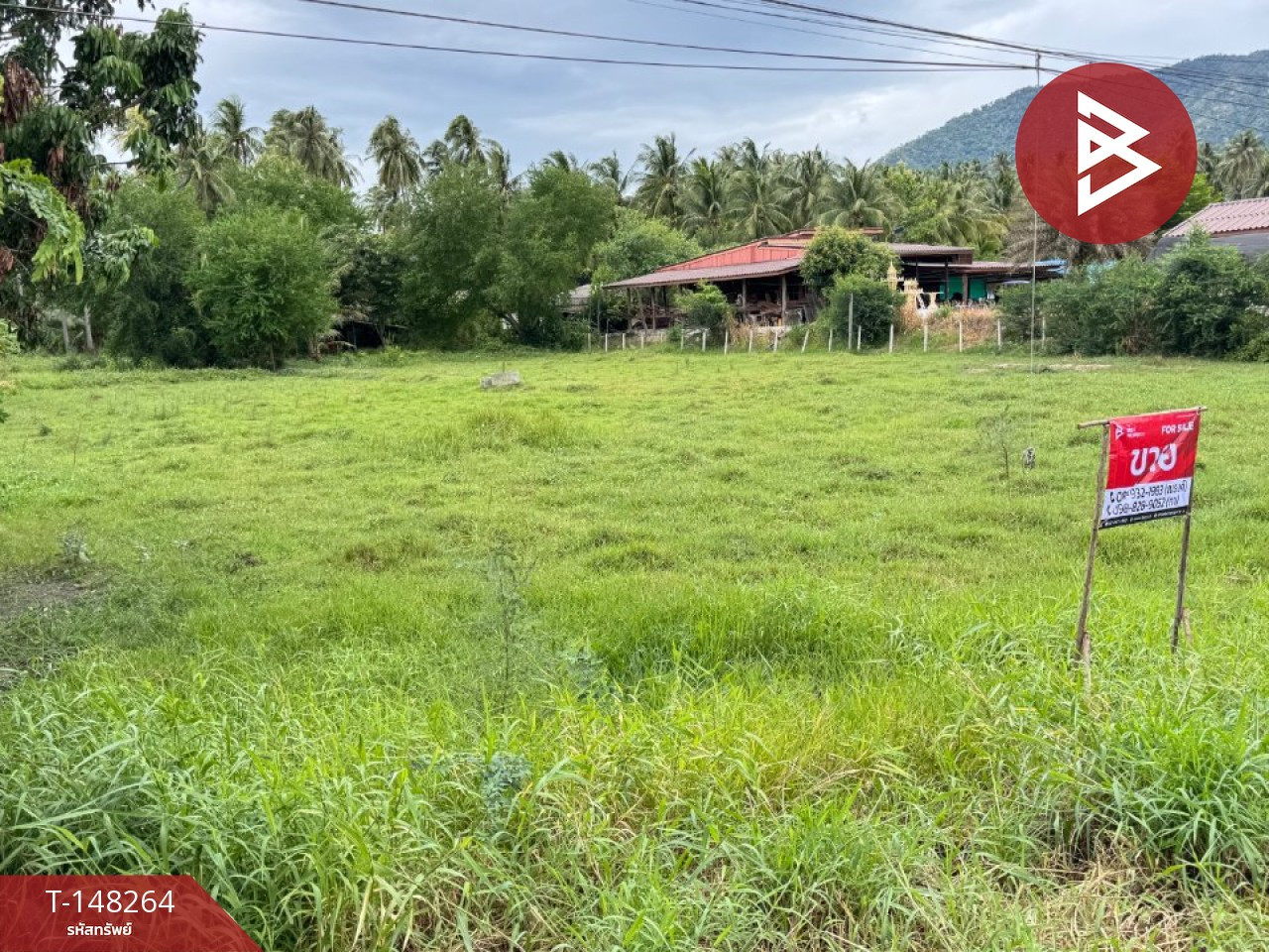 ขายที่ดิน เนื้อที่ 2 ไร่ ทับสะแก ประจวบคีรีขันธ์