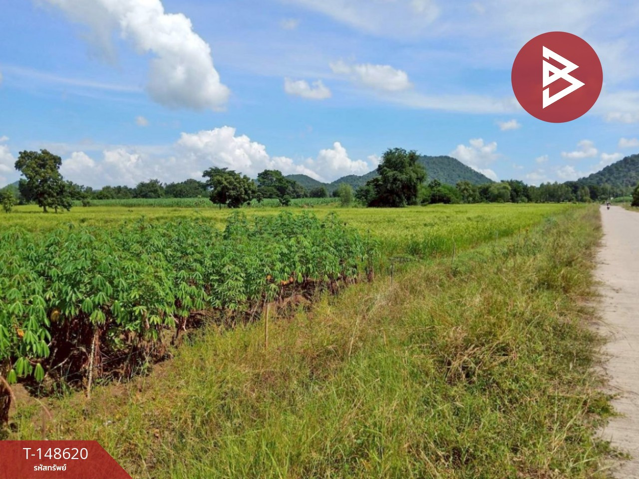 ขายที่ดิน เนื้อที่ 2 ไร่ 1 งาน 71 ตร.วา พยุหะคีรี นครสวรรค์