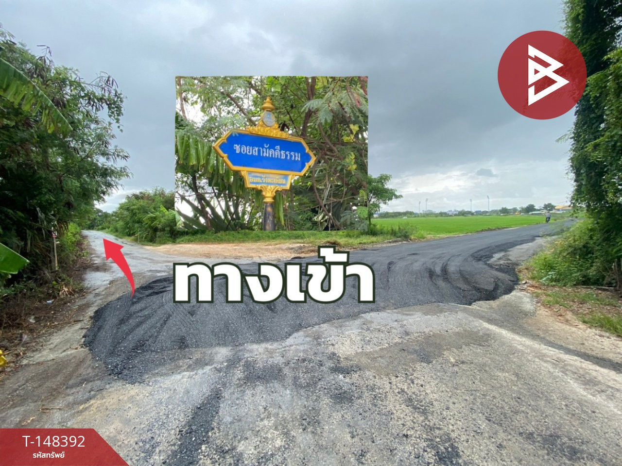 ขายที่ดินเปล่า เนื้อที่ 1 งาน 86 ตารางวา วังตะเคียน ฉะเชิงเทรา