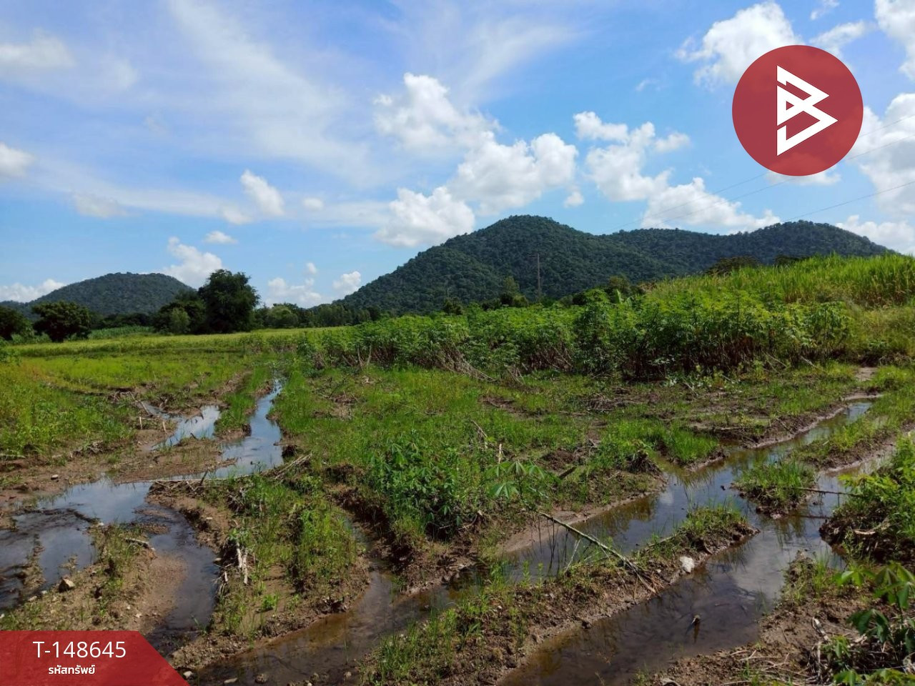 ขายที่ดิน เนื้อที่ 5 ไร่ 75 ตร.วา พยุหะคีรี นครสวรรค์
