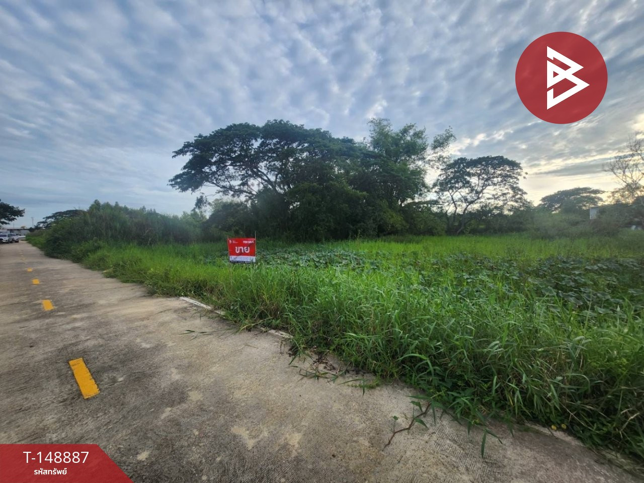 ขายที่ดิน เนื้อที่ 1 ไร่ ไทรน้อย นนทบุรี