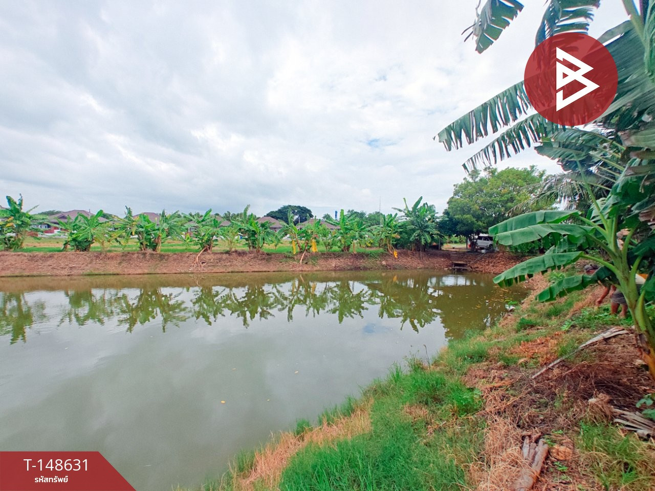 ขายที่ดิน เนื้อที่ 9 ไร่ 1 งาน 55.5 ตร.วา โพธาราม ราชบุรี