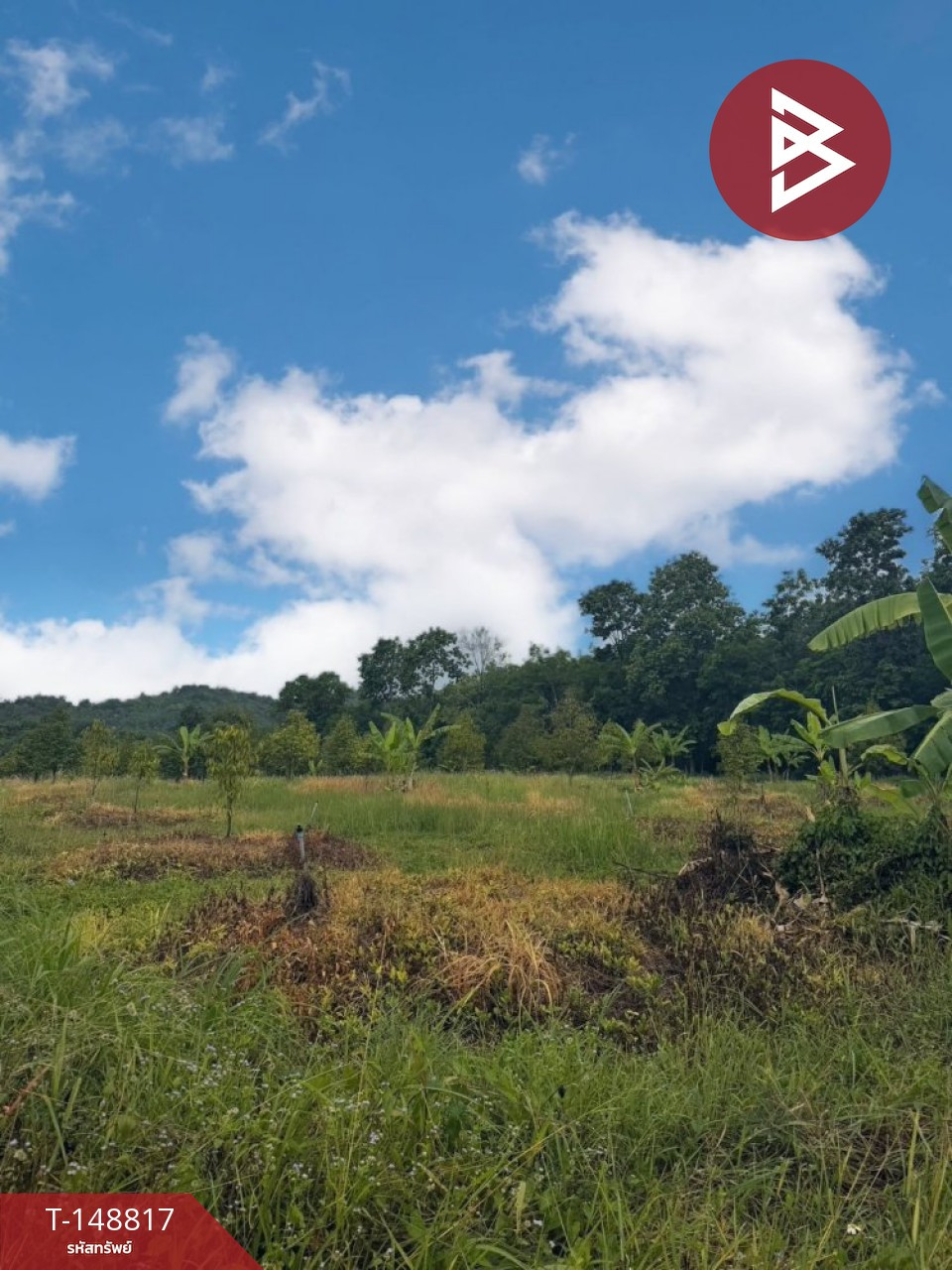 ขายที่ดิน เนื้อที่ 46 ไร่ 1 งาน 5 ตร.วา สอยดาว จันทบุรี