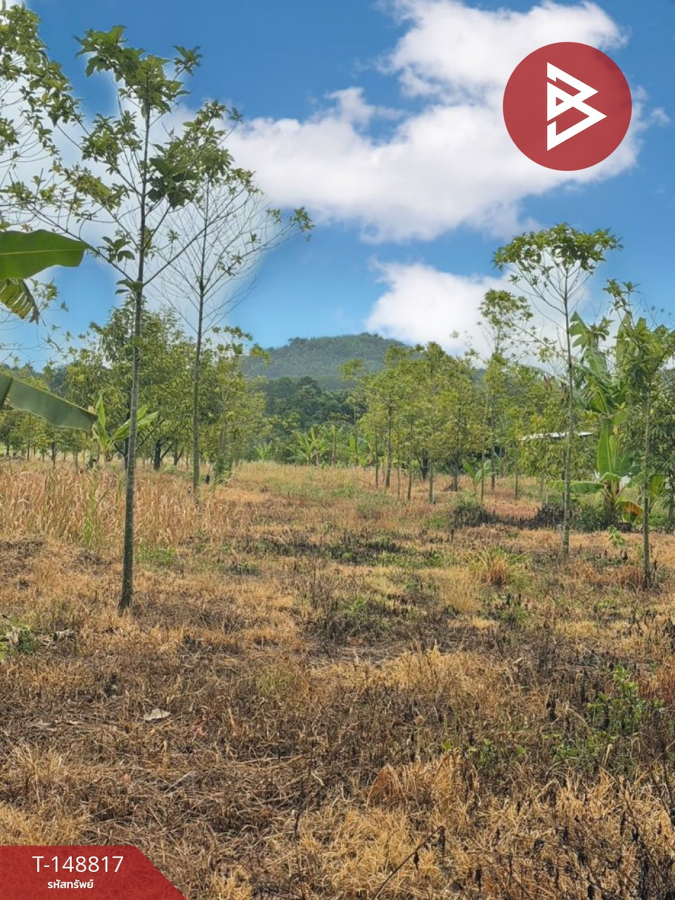 ขายที่ดิน เนื้อที่ 46 ไร่ 1 งาน 5 ตร.วา สอยดาว จันทบุรี