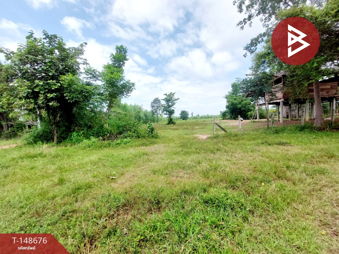 ขายที่ดิน เนื้อที่ 24 ไร่ 24 ตร.วา โพนพิสัย หนองคาย