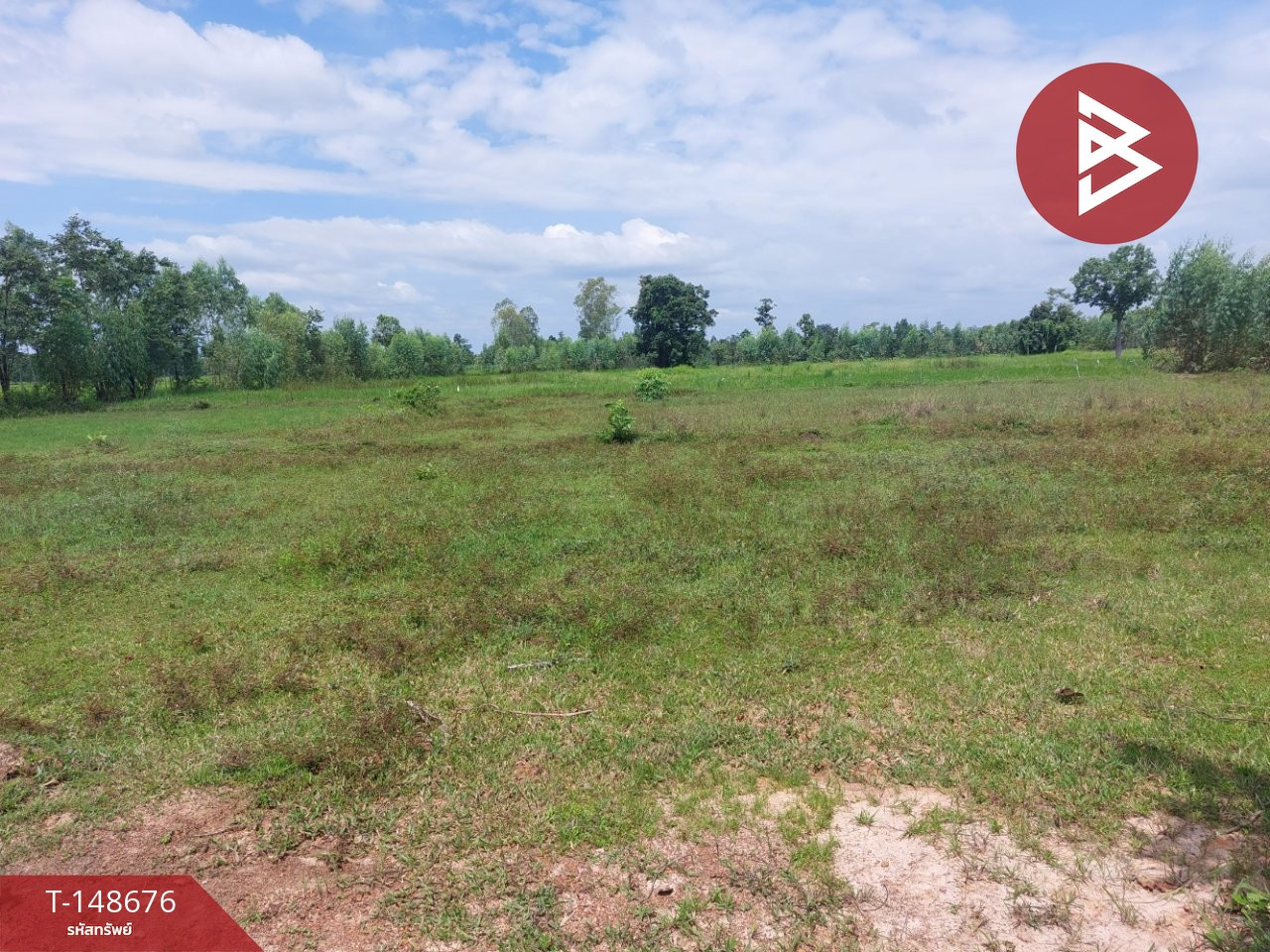 ขายที่ดิน เนื้อที่ 24 ไร่ 24 ตร.วา โพนพิสัย หนองคาย