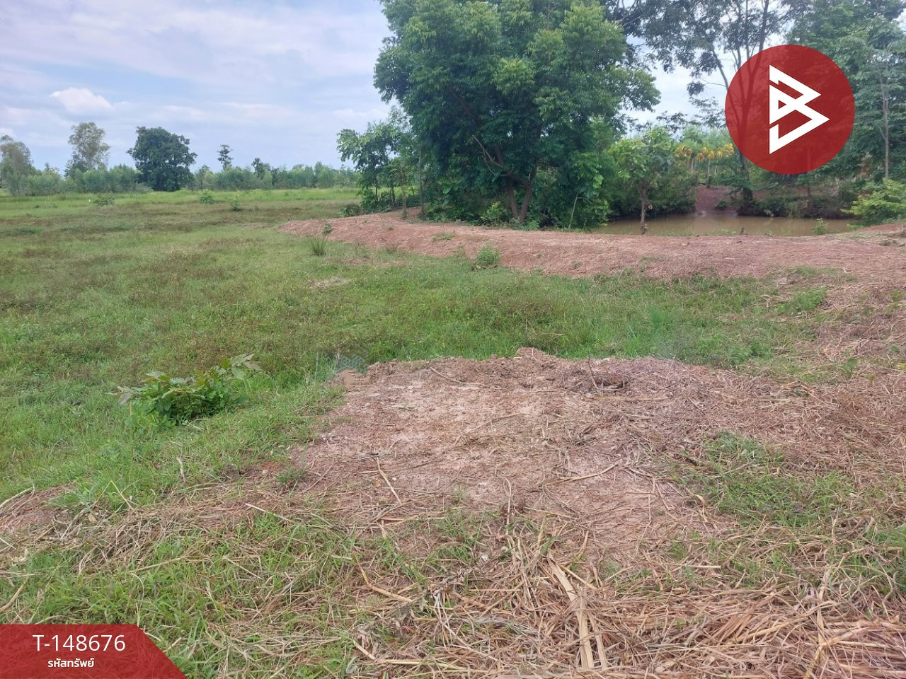ขายที่ดิน เนื้อที่ 24 ไร่ 24 ตร.วา โพนพิสัย หนองคาย
