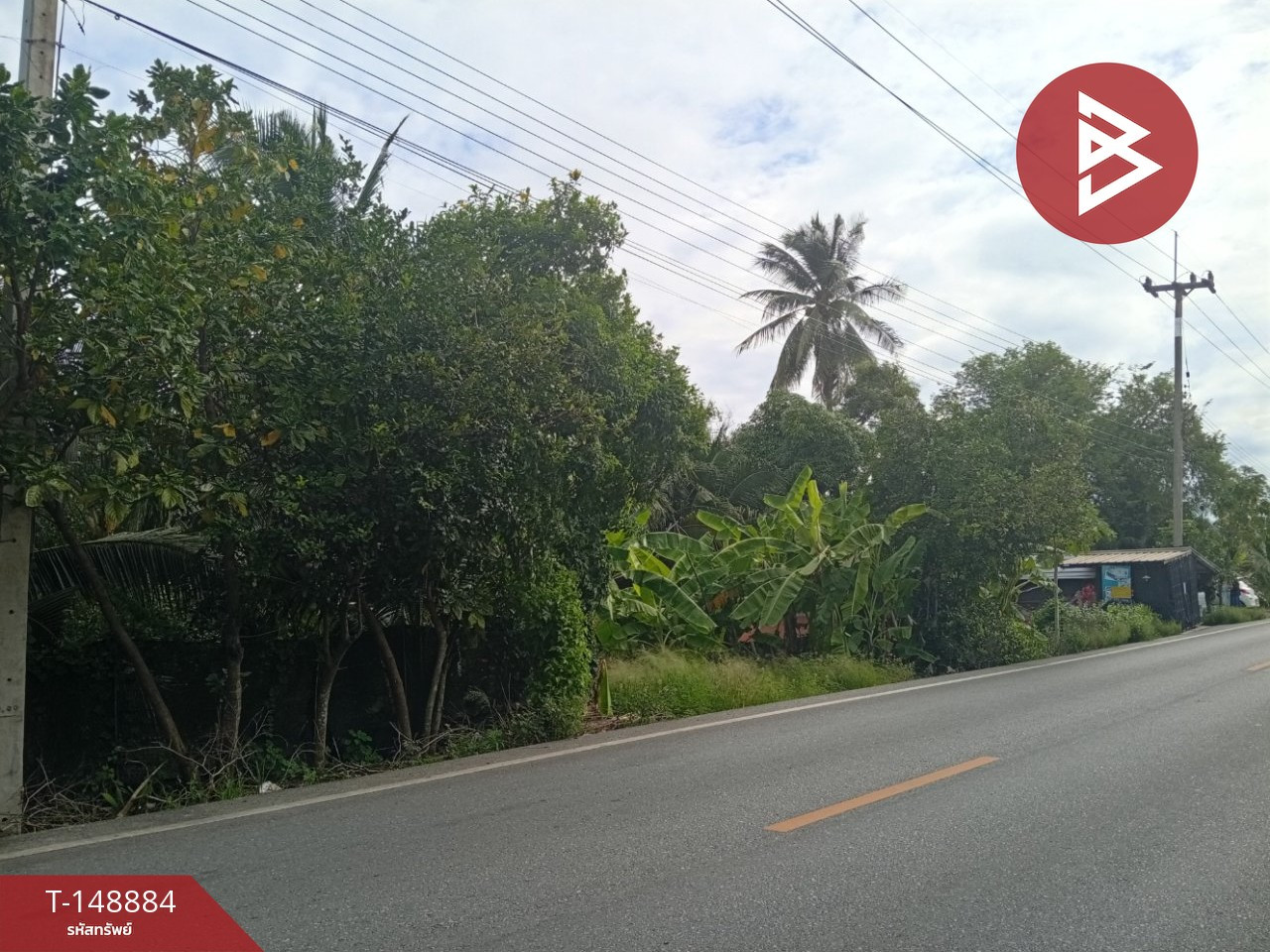 ขายที่ดินเปล่า เนื้อที่ 6 ไร่ สามพราน นครปฐม