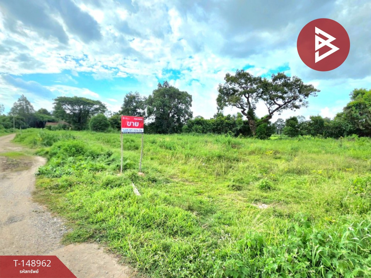 ขายที่ดิน เนื้อที่เริ่มต้น 1 งาน 32.8 ตร.วา รอบเมือง ร้อยเอ็ด