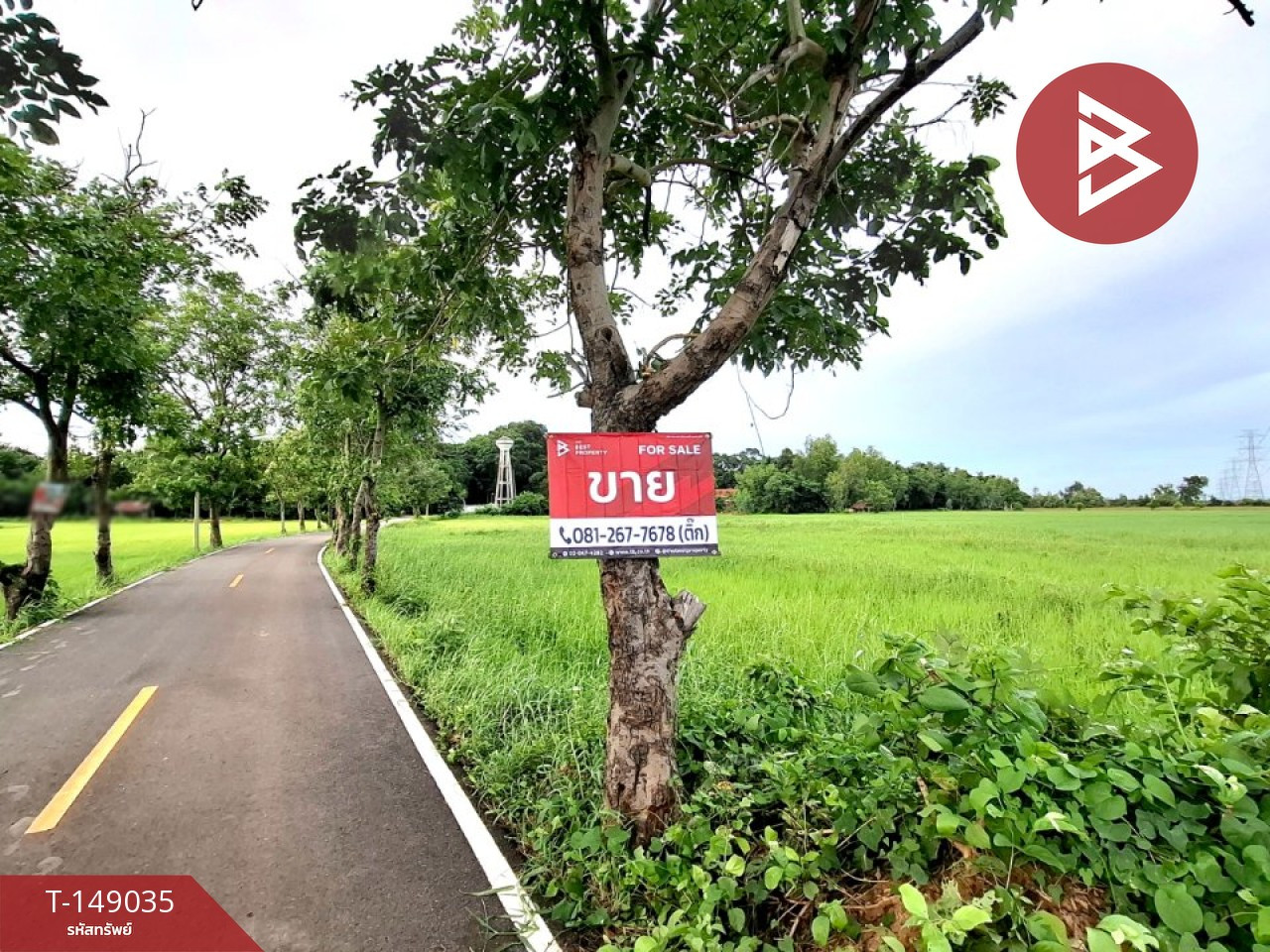 ขายที่ดิน เนื้อที่ 6 ไร่ 88 ตร.วา จังหาร ร้อยเอ็ด