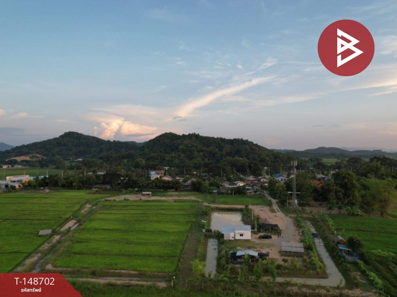 ขายบ้านเดี่ยวพร้อมที่ดิน เนื้อที่ 9 ไร่ 3 งาน 62.3 ตร.วา เทิง เชียงราย